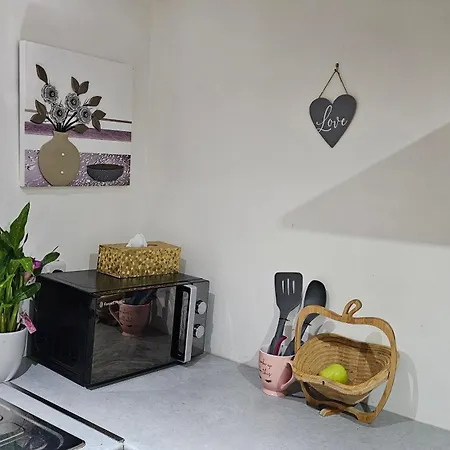 Apartment Beautiful En-suite In -lower Floor